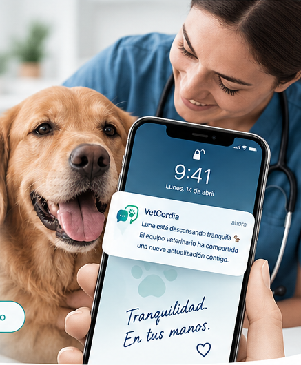 VetCordia: mascota con su veterinaria y una actualización en español mostrada en un móvil